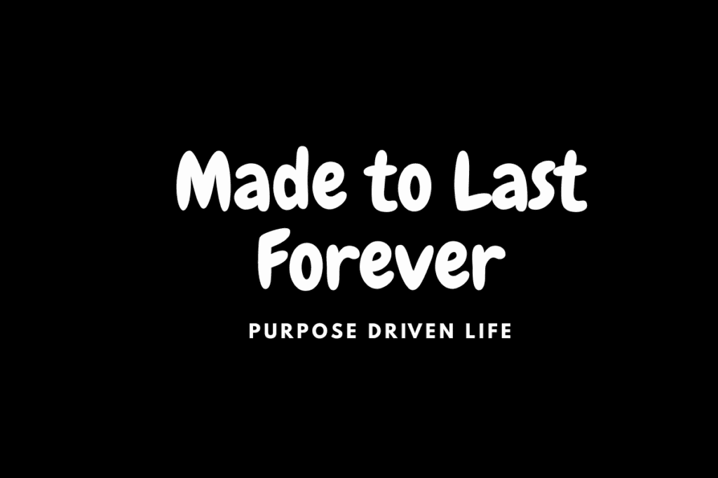 Day 4: Made to Last Forever - Your Eternal Destiny Made to Last forever