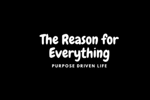 Blog The reason for everything