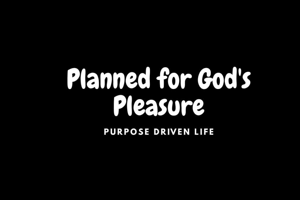 Day 8: Planned for God's Pleasure - Your First Purpose planned for Gods pleasure