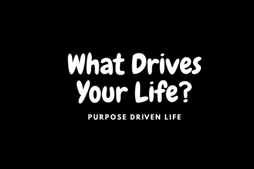 what drives your life